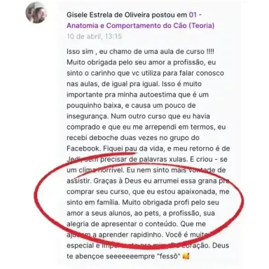 Depoimento aluno GGV